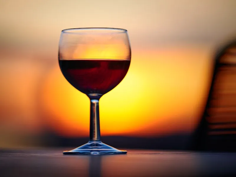 Wine tasting experience